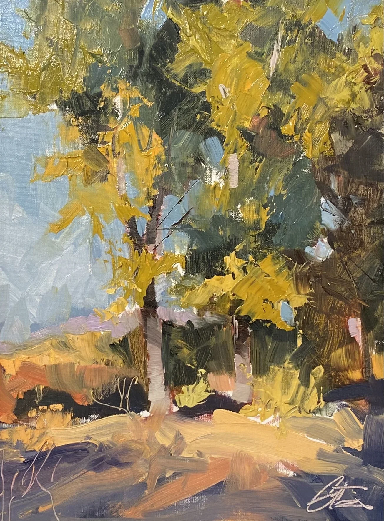 Autumn on Willow Creek