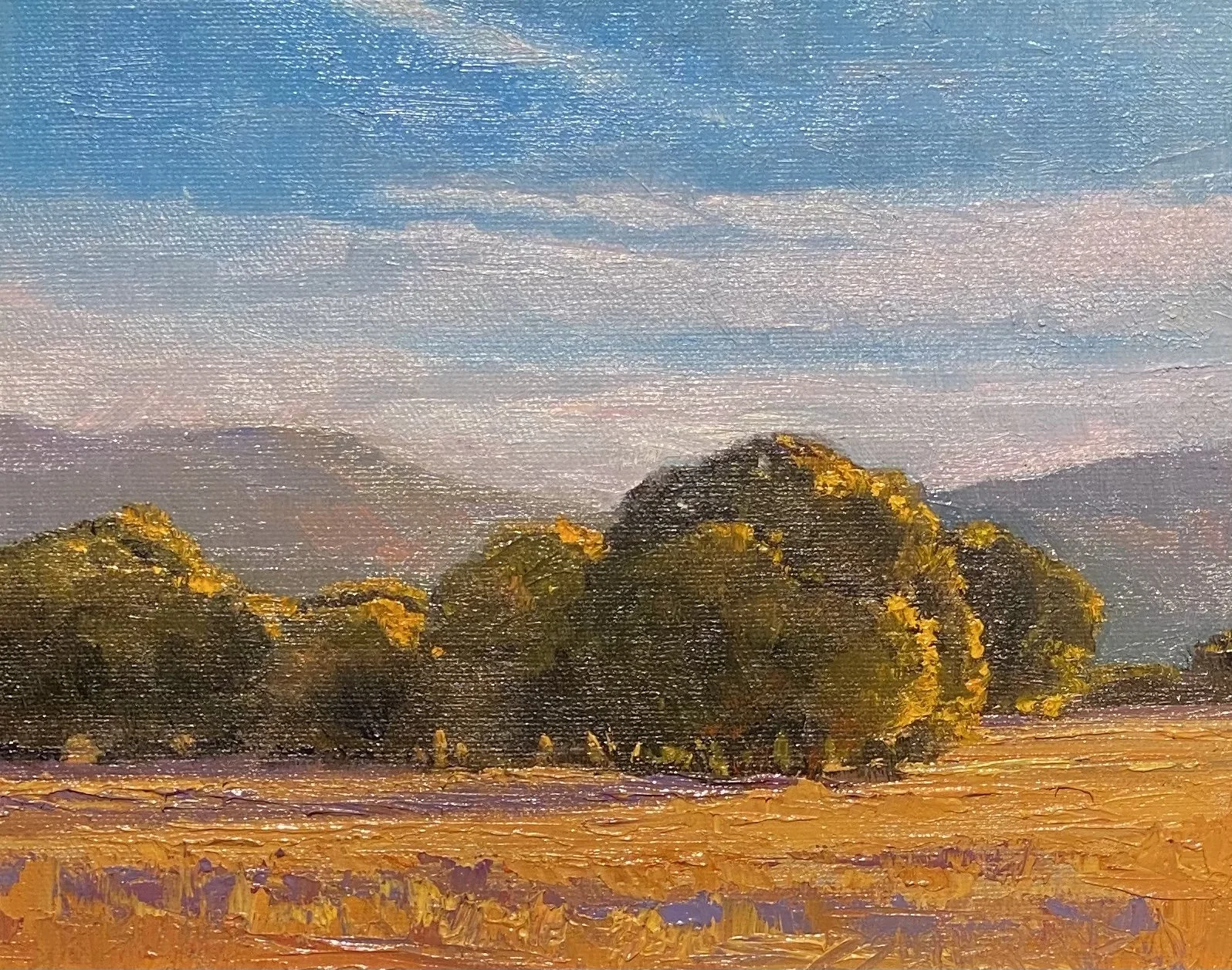 Shady Autumn Pasture