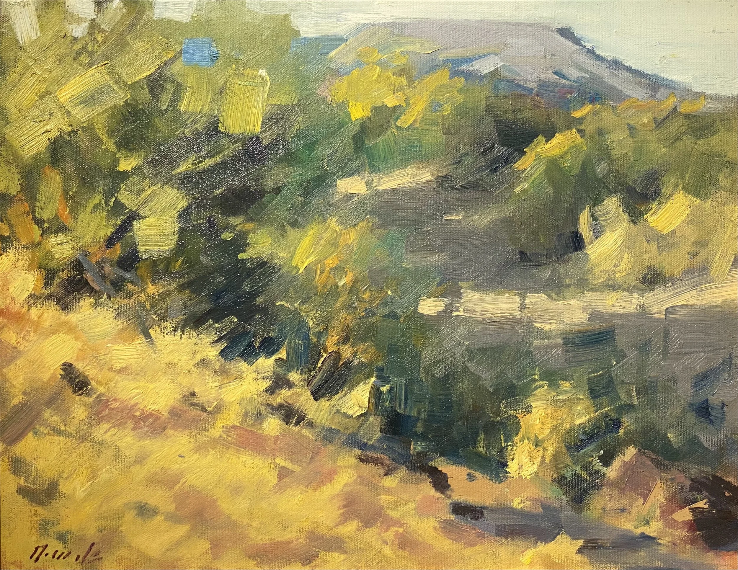 Wash Sunset (Skunk Creek)