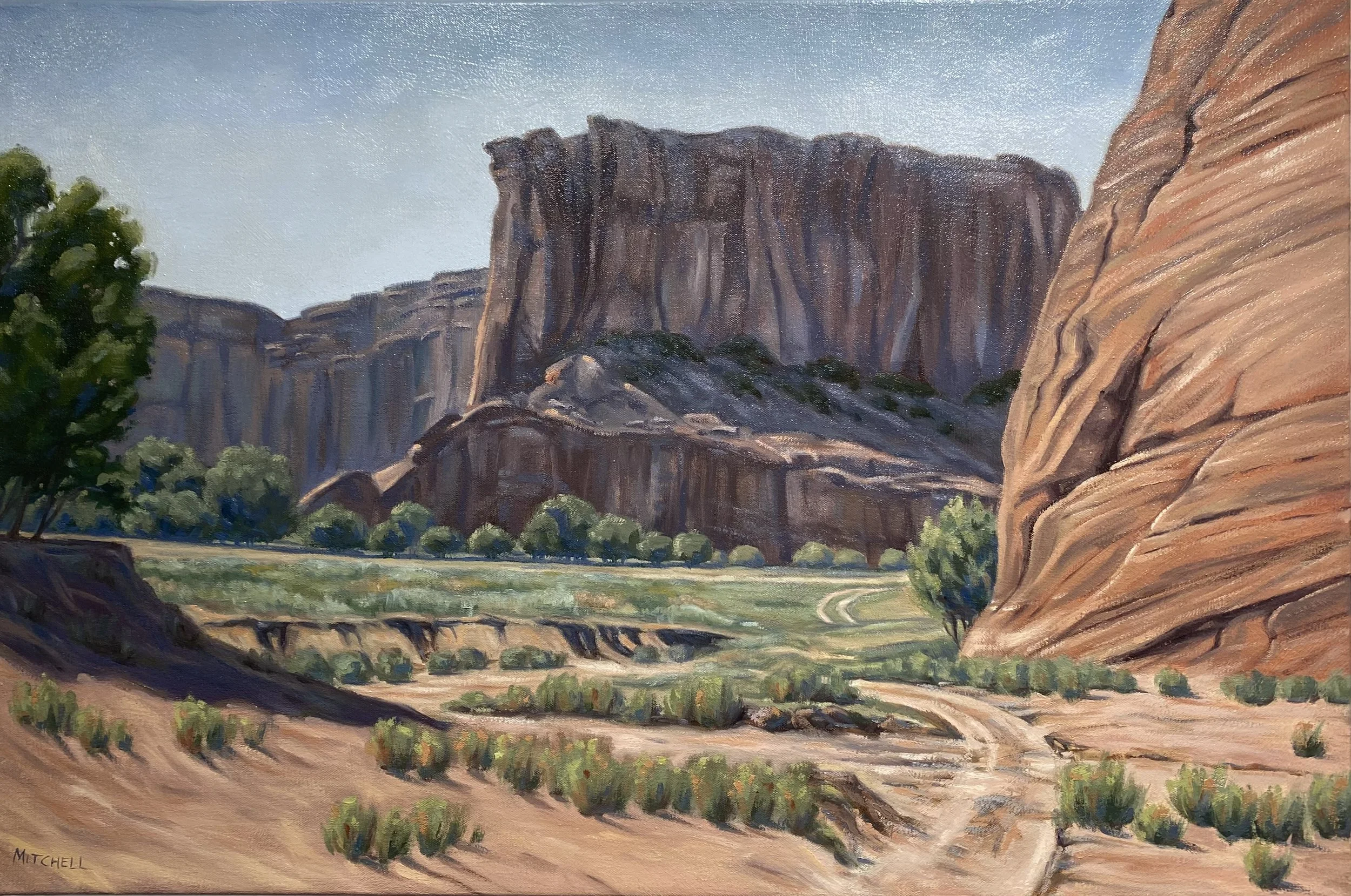 Variations on Nature