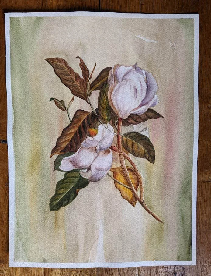 Laura Urquhart "Magnolias"