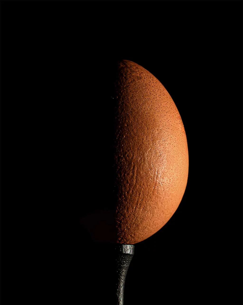 Cy Adams “Eclipsed Egg”