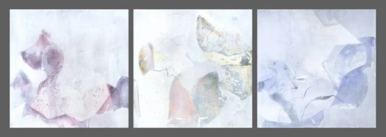 Laura Harvey "Primaries"