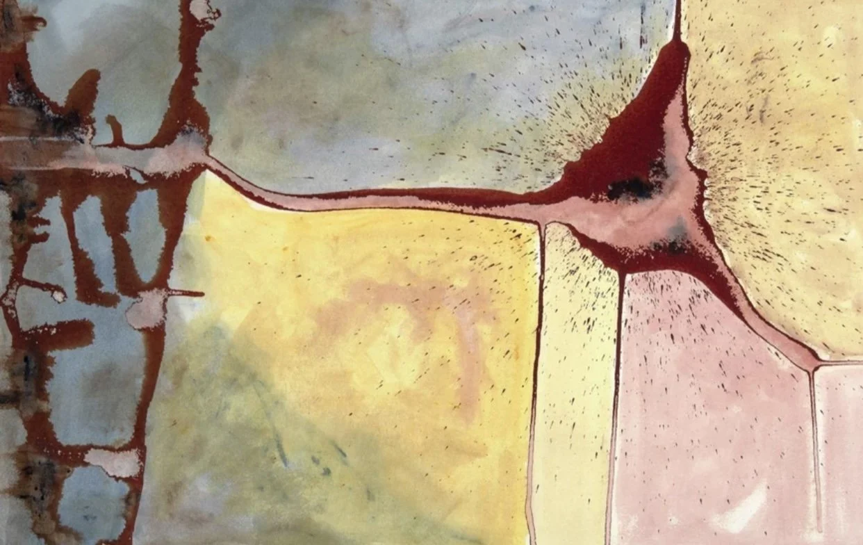 Lauren Harvey "Asclepias albicans"