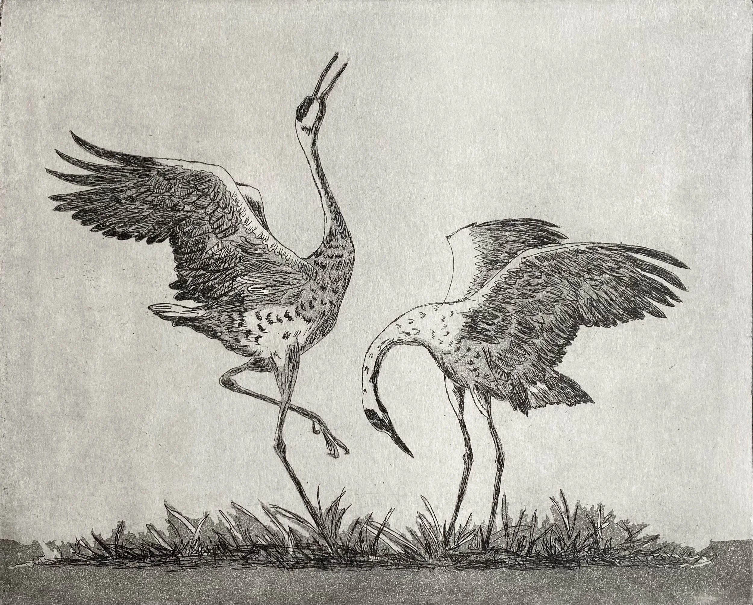 Patty Heibel "Sandhill Cranes"