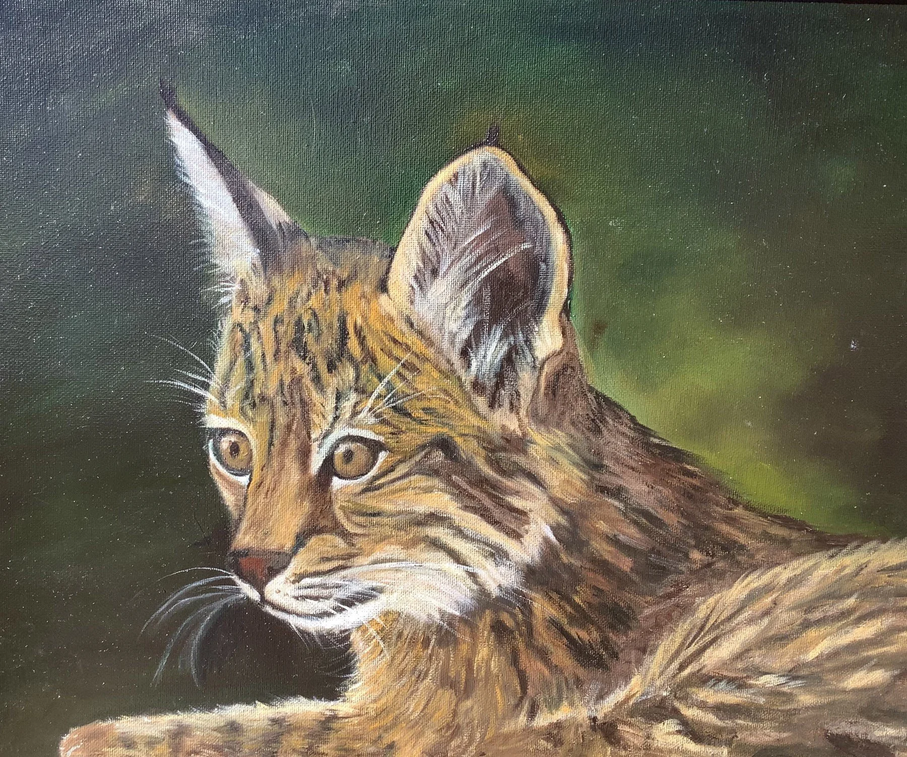 Diane Smith “Bob Cat”