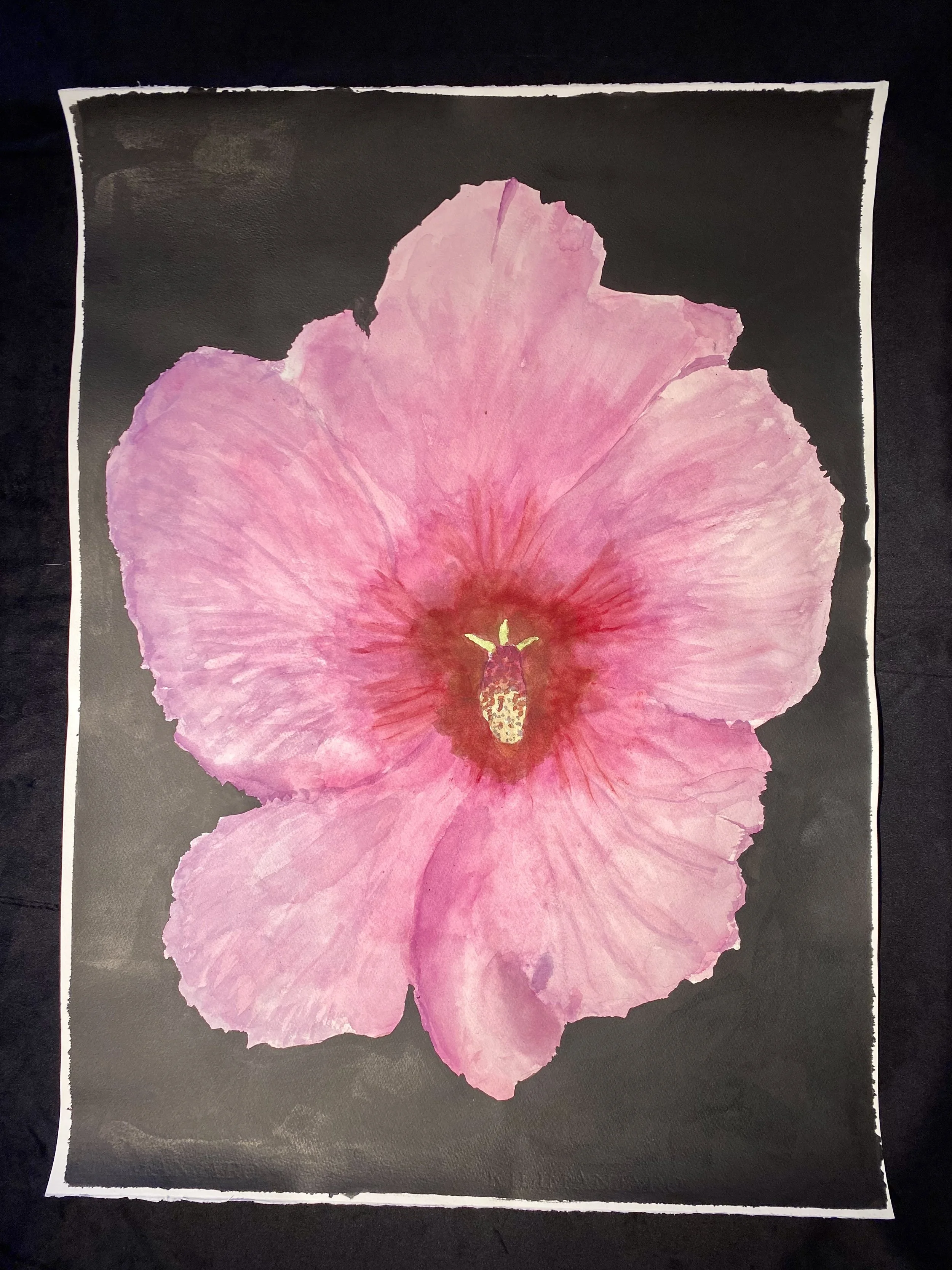 Steven Wellander "Pink Flower #4"