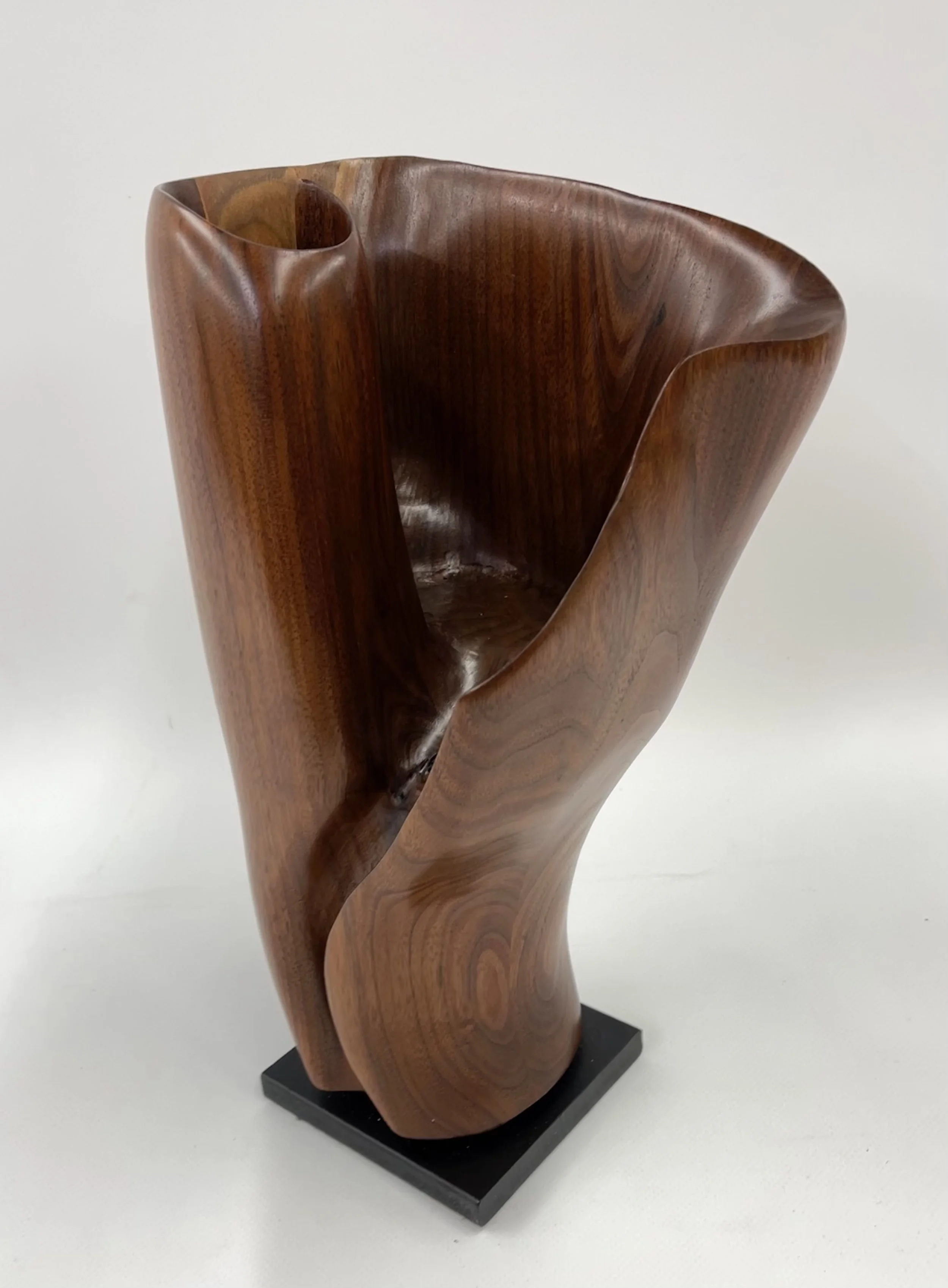 Larry Hamlin "Elves Chasm"