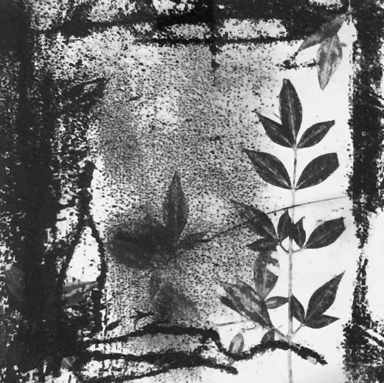 Leslie Parsons "A Darker Shade of Green"