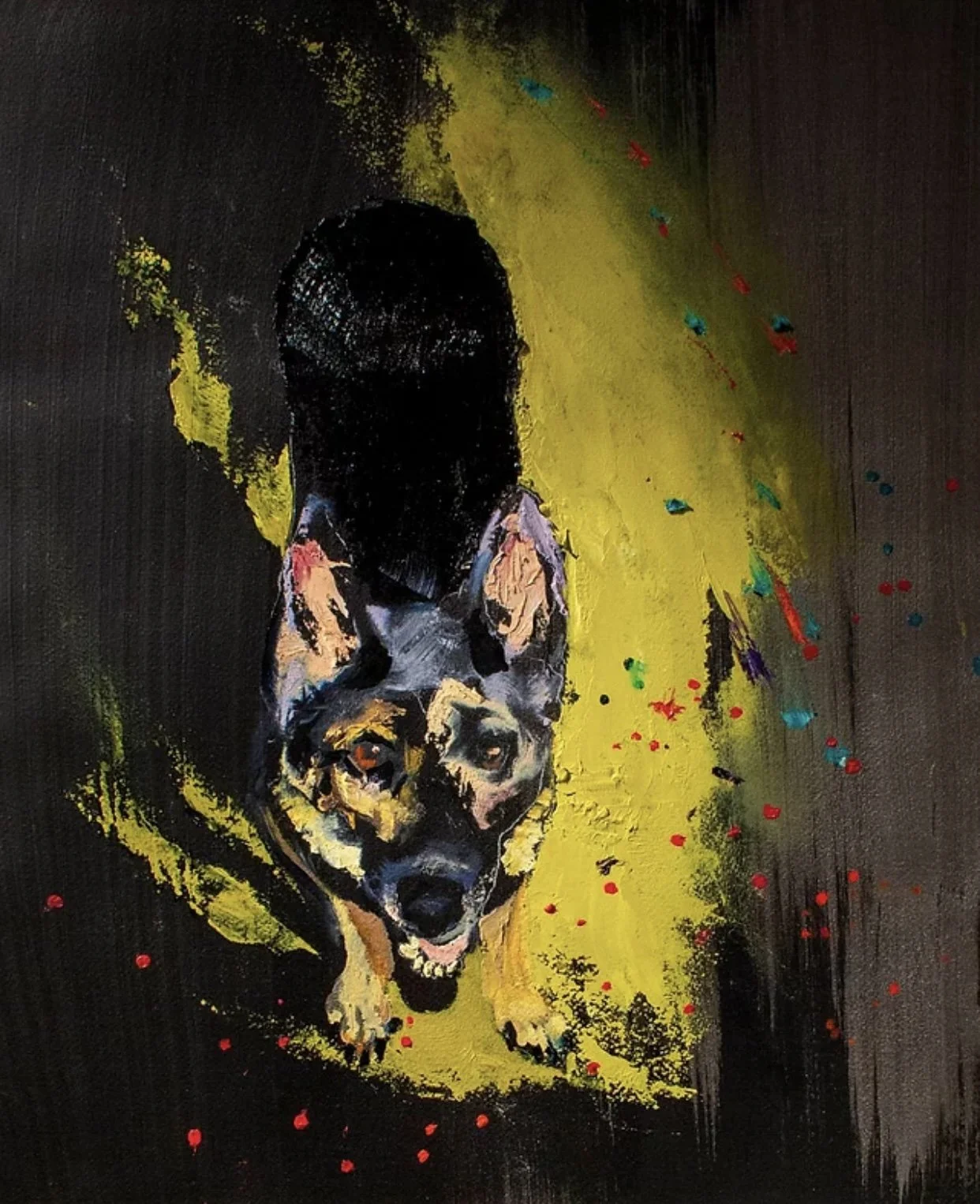 Dana Cohn “G.O. Shepard”