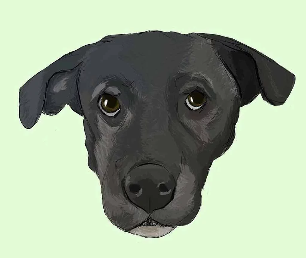 Julianna Rodriguez “Bandit”