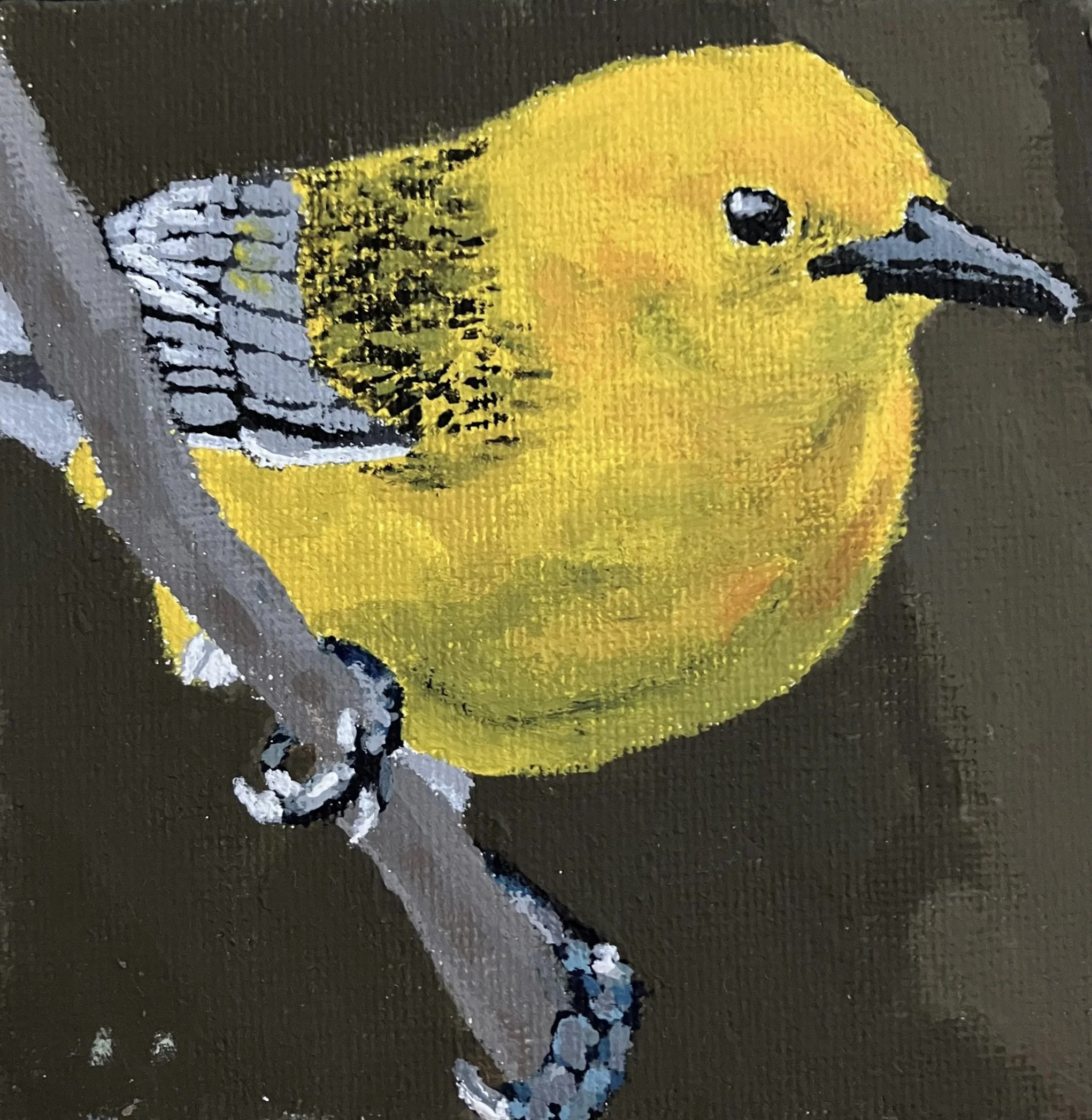 Elise Paxton “Prothonotary Warbler”, Prescott High School