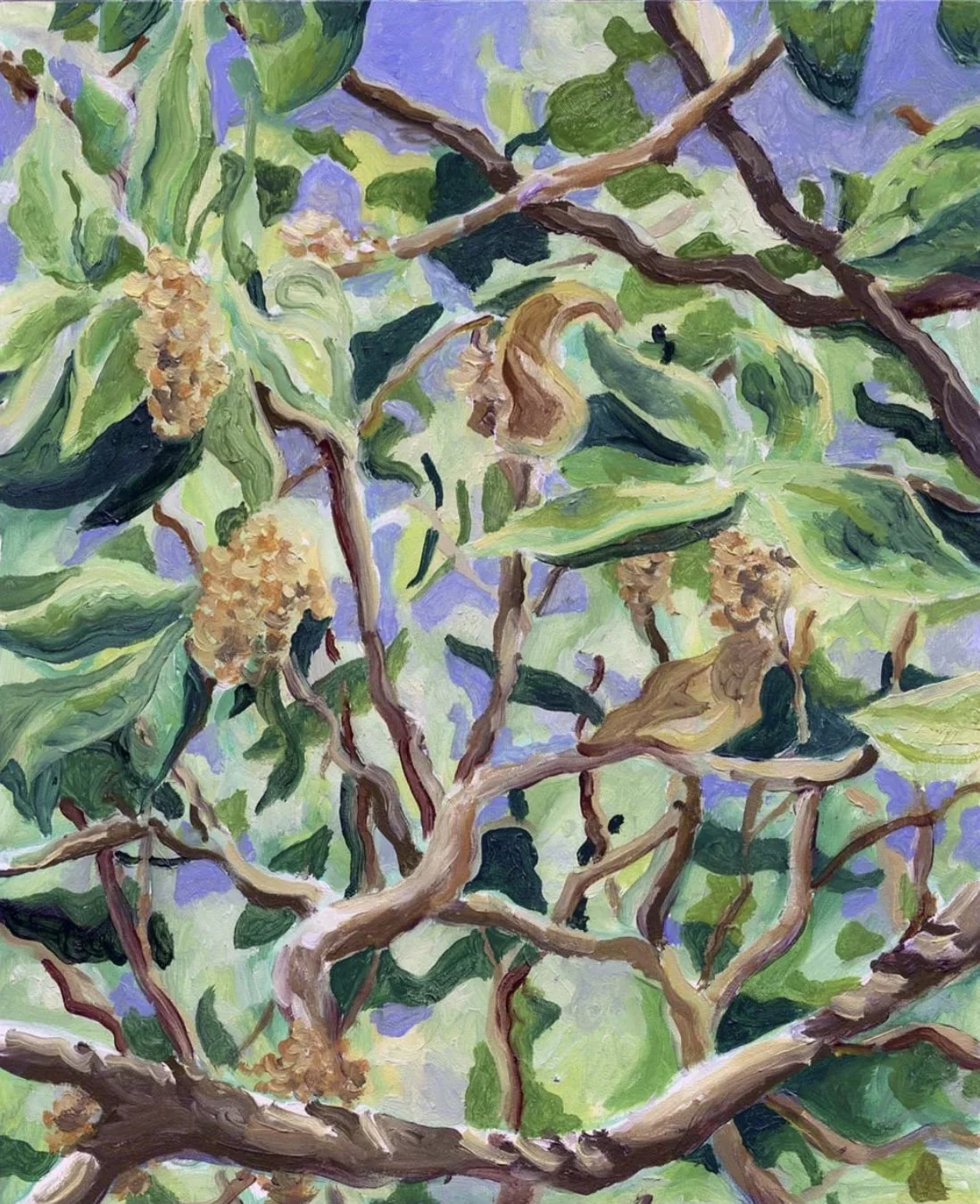 Second Place, Demoree Anderson "Oak Trees Leaves and Catkins”
