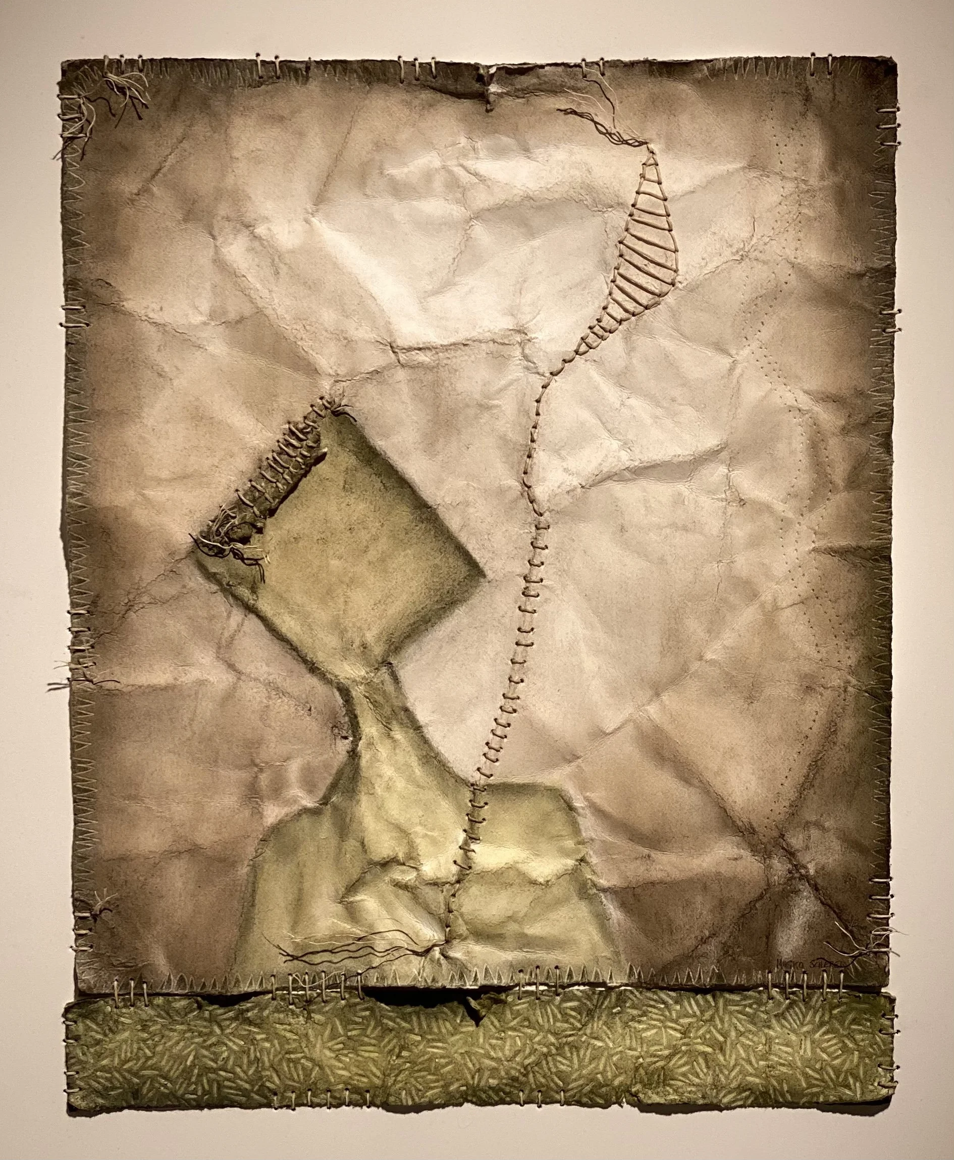 Tess Mosko Scherer "When Women Were Birds: Wisdom"