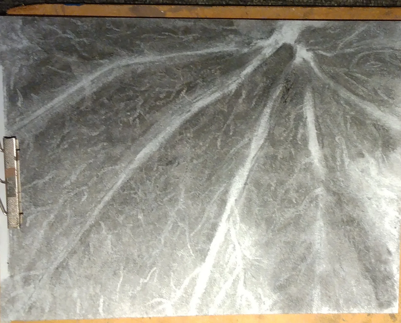 Alexandria  Harter "Untitled"