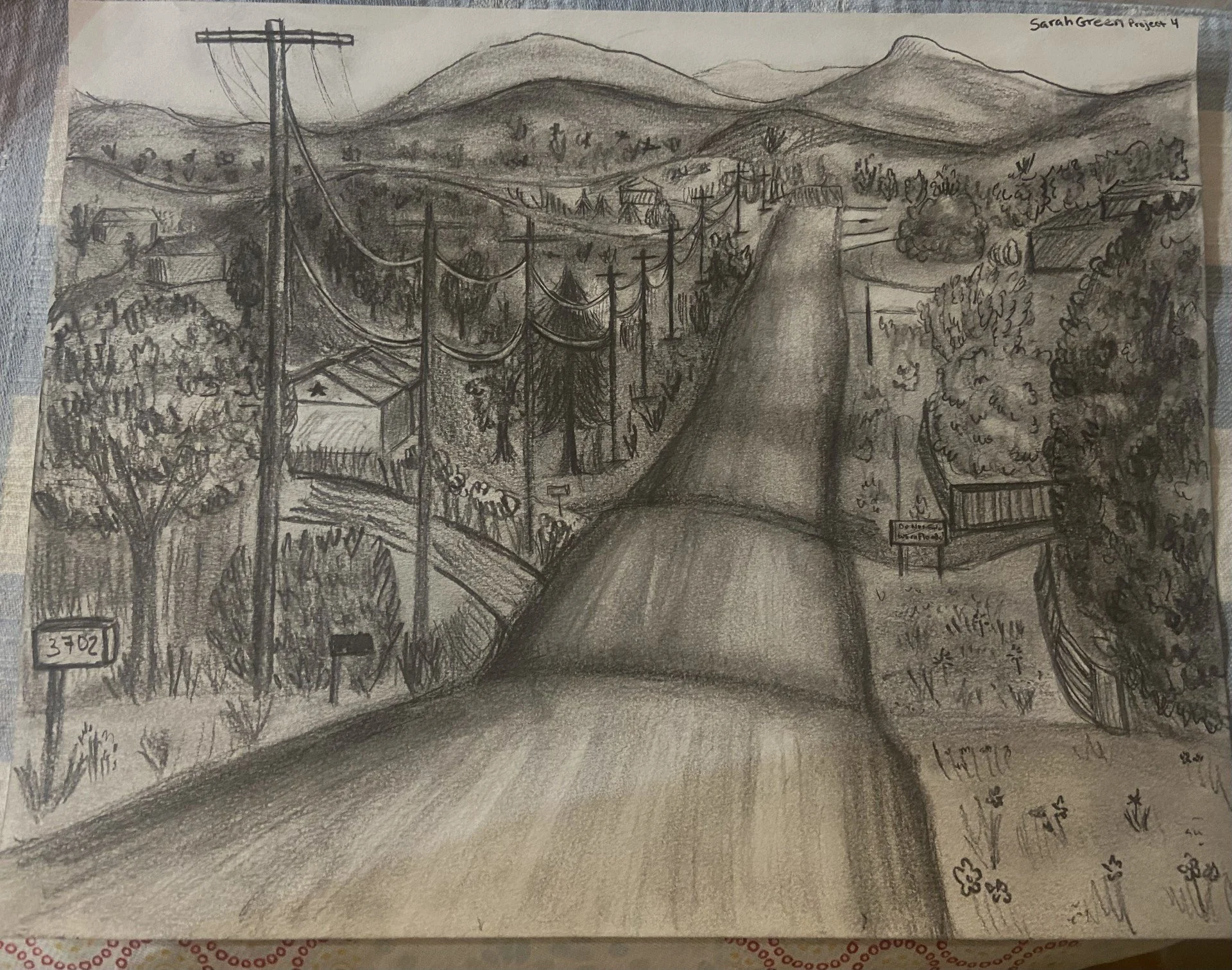 Sarah Green "Backroad Street"