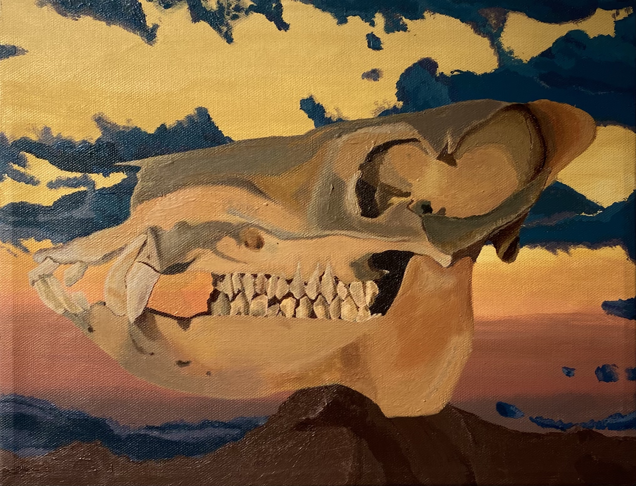 Katharina Seibert “Sunset Skull”