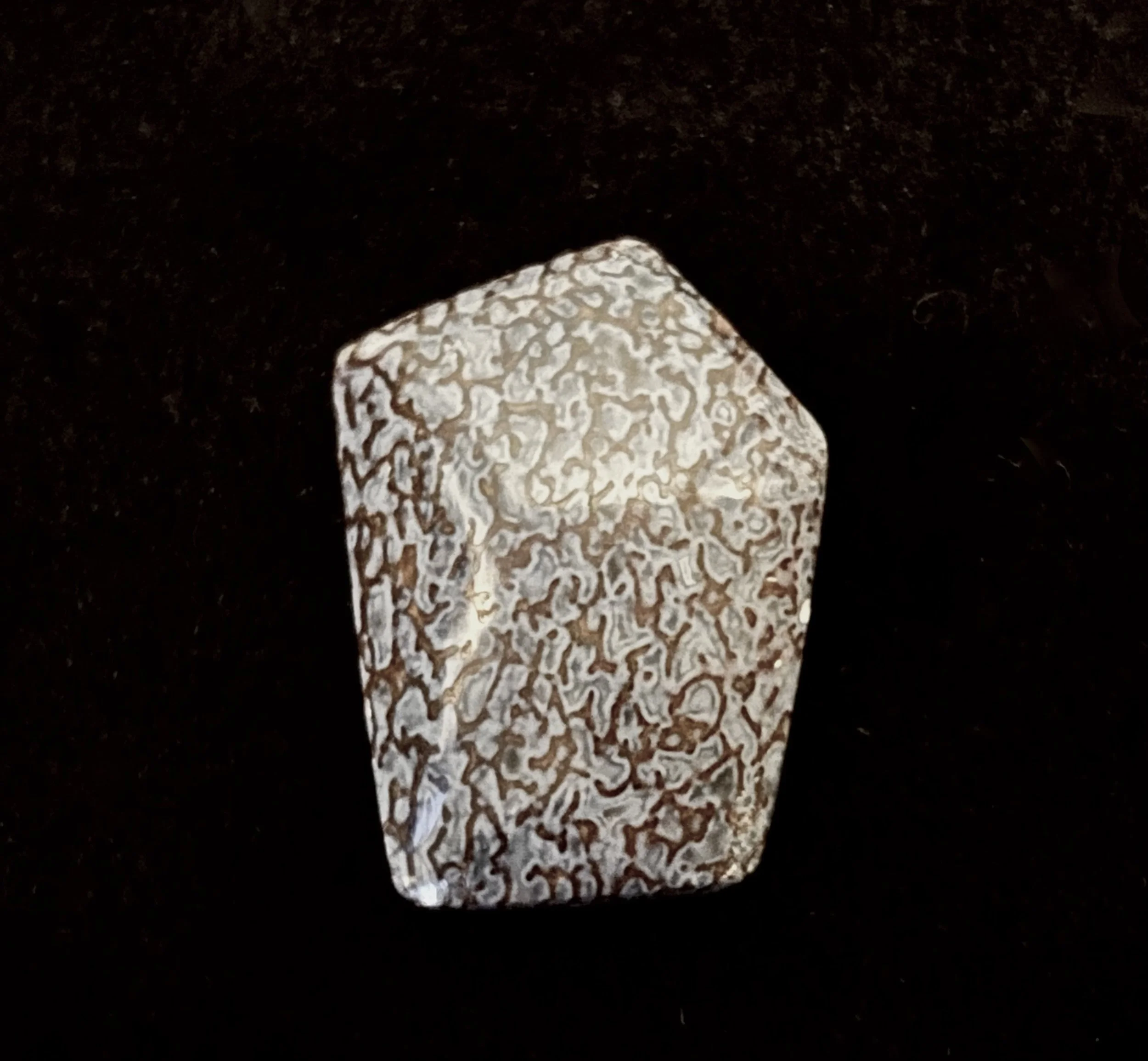 Becky Dalke "Blue Dino Bone"