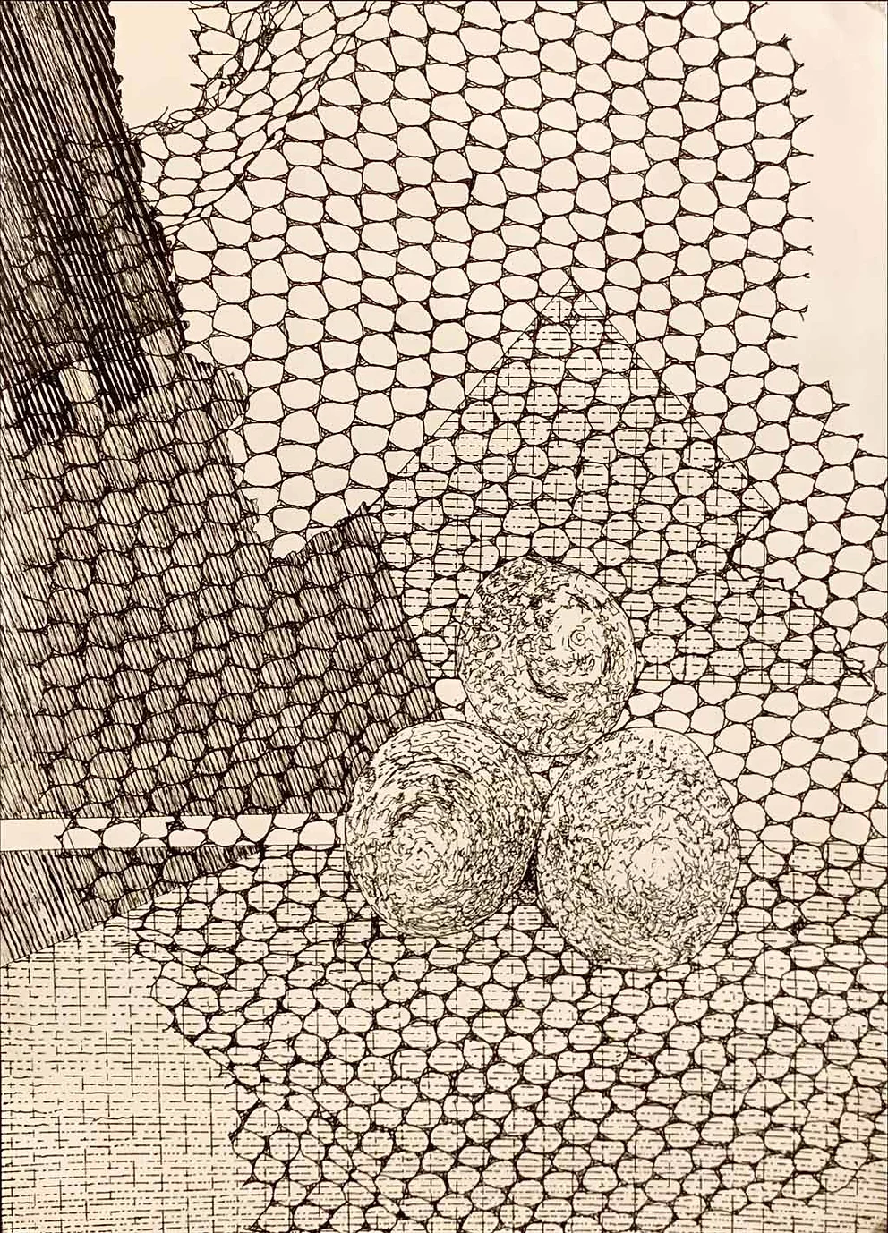 Cecilia Villa “Caught in a Net”