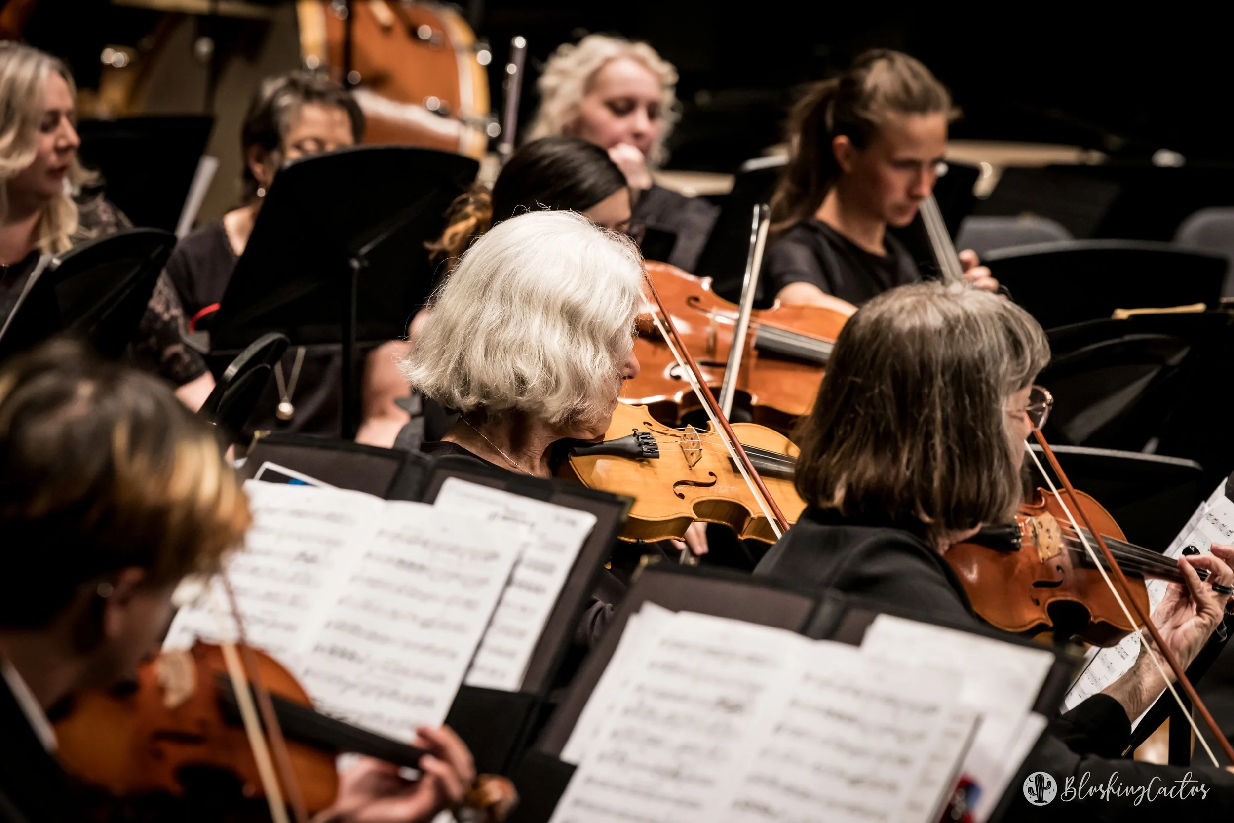 Orchestra musicians playing violins during a concert, sheet music in front of them, in a dimly lit concert hall.