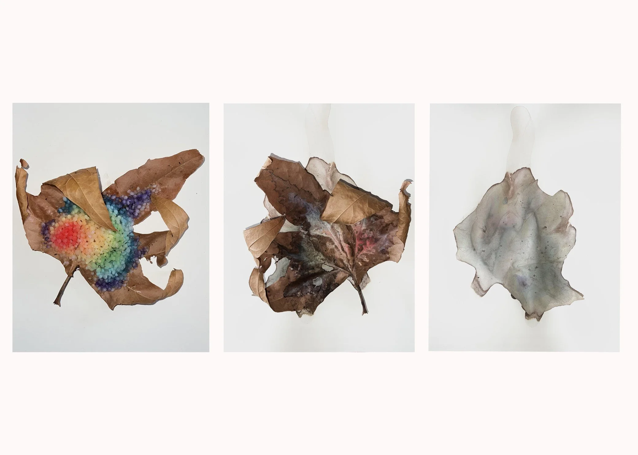 Vy Cao “Instead of White”, The Orme School