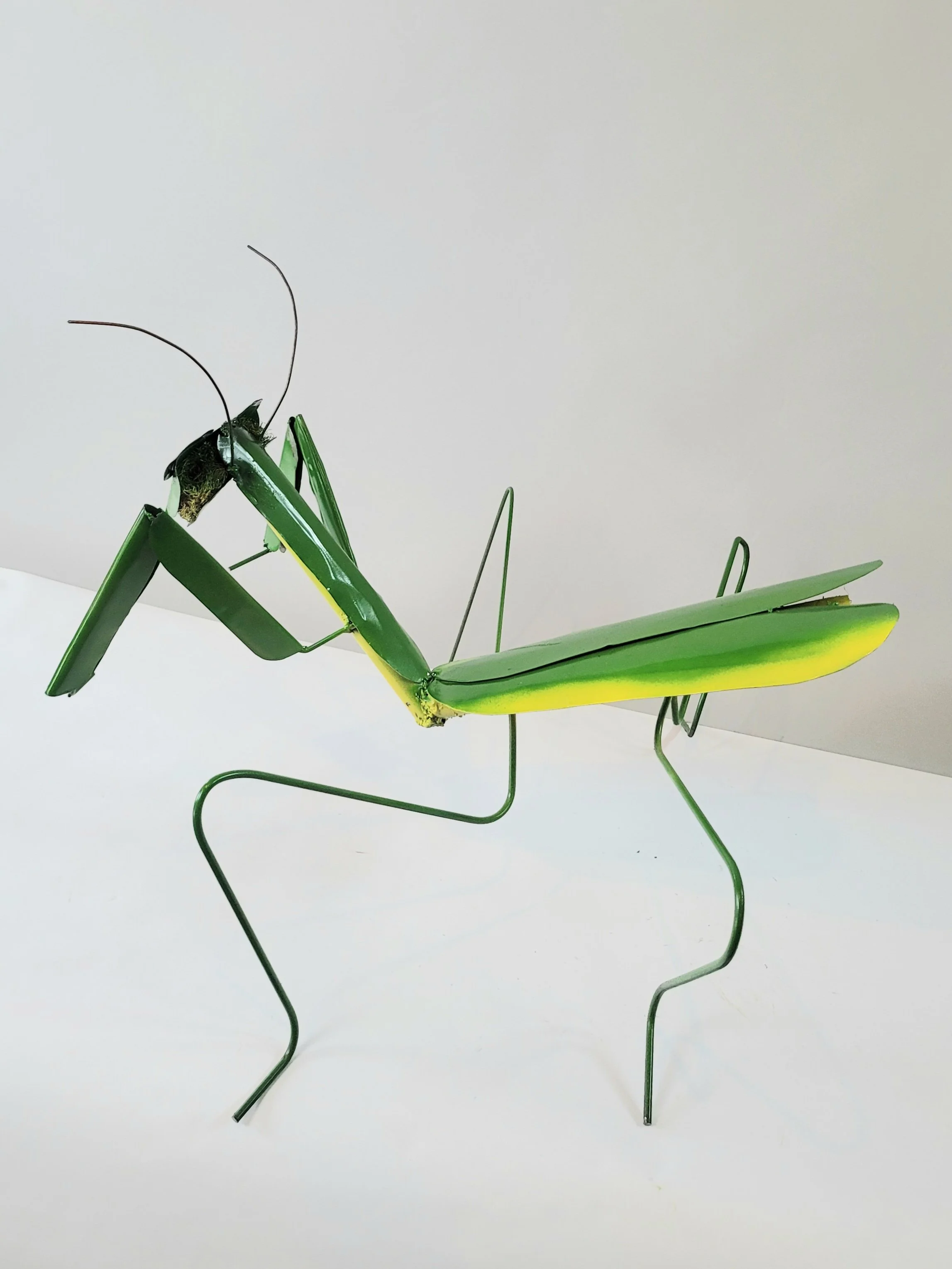 Patrice Sparks "Preying Mantis #2"