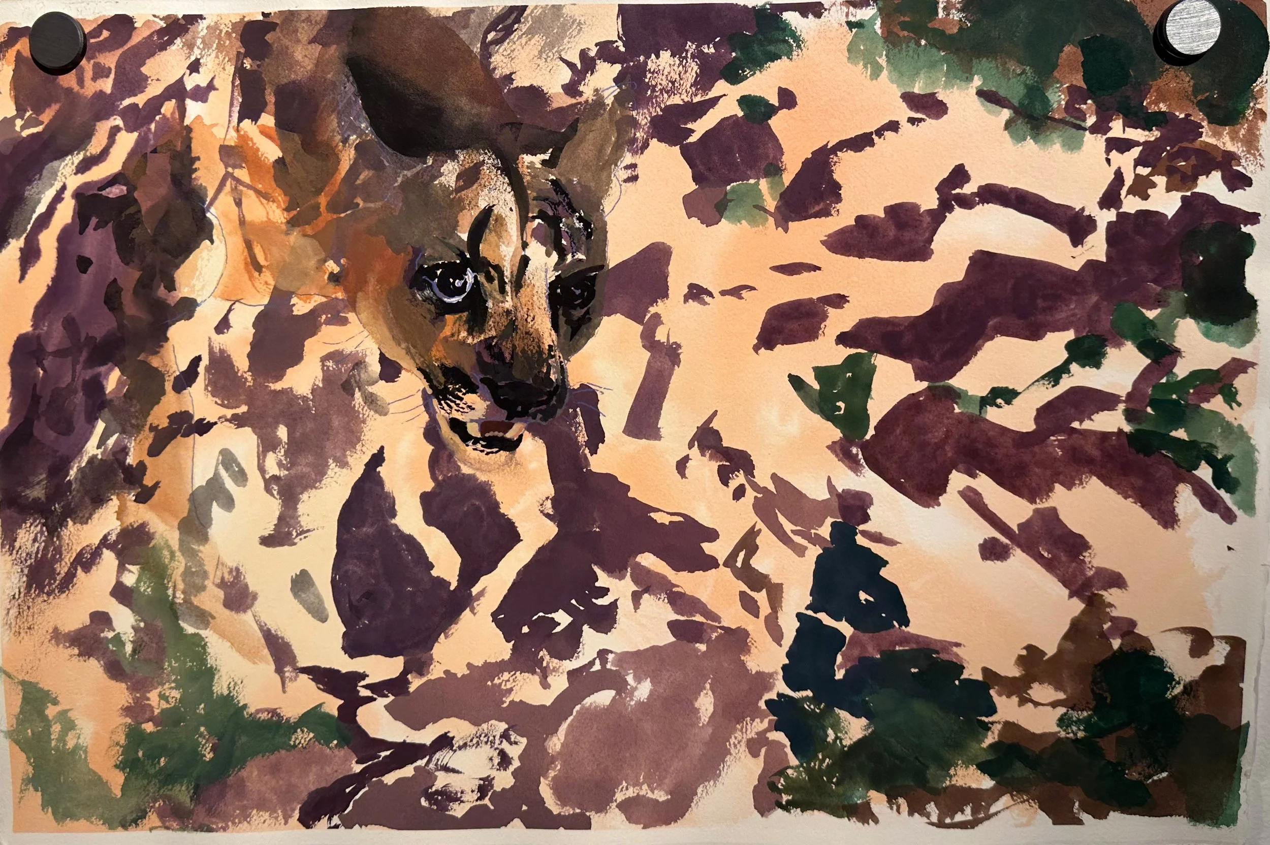 Dana Cohn "Untitled Study For Granite Creek Mural 1"