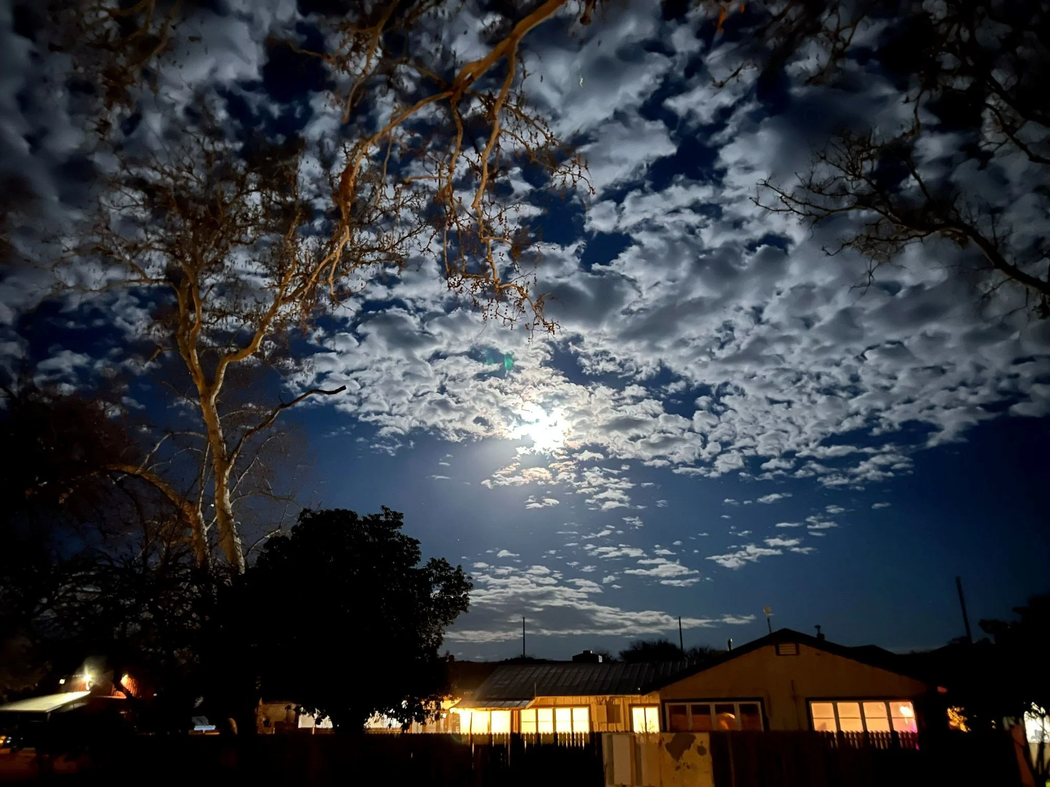 Vy Cao “Mirror”, The Orme School