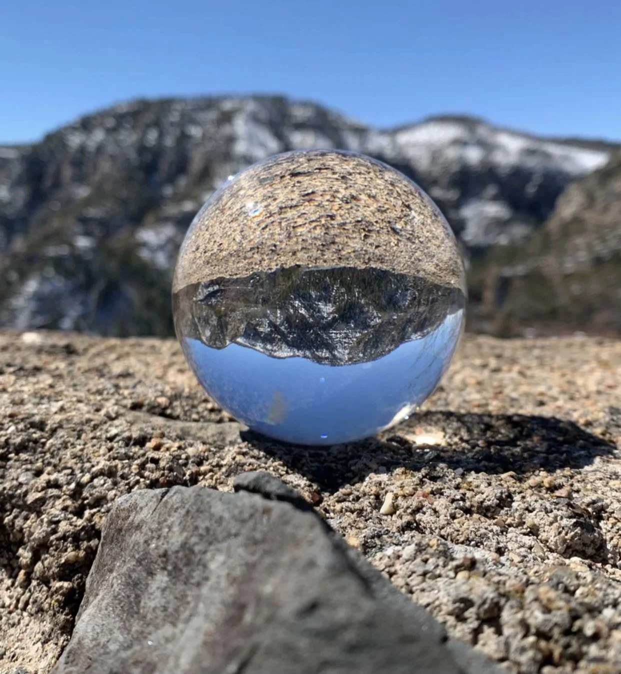 Nora Muse “Thru the Eyes of a LensBall”