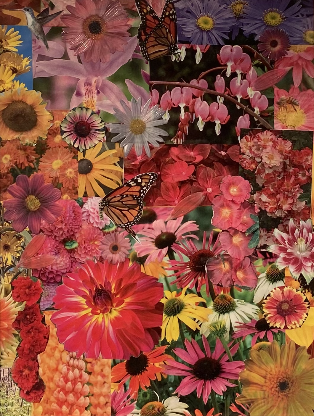 Julia Cartwright “Spring Fireworks”