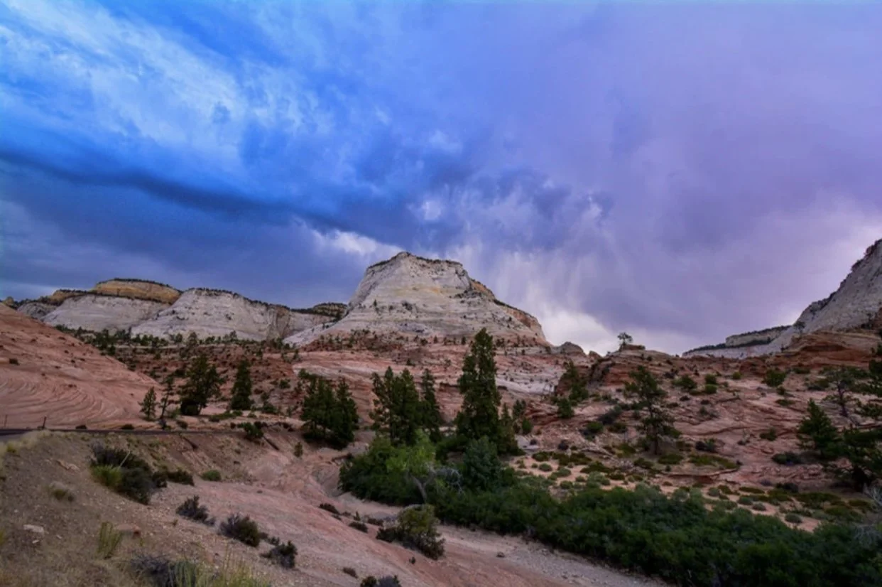 Honorable Mention, Alexander Miller “Purple Rain”