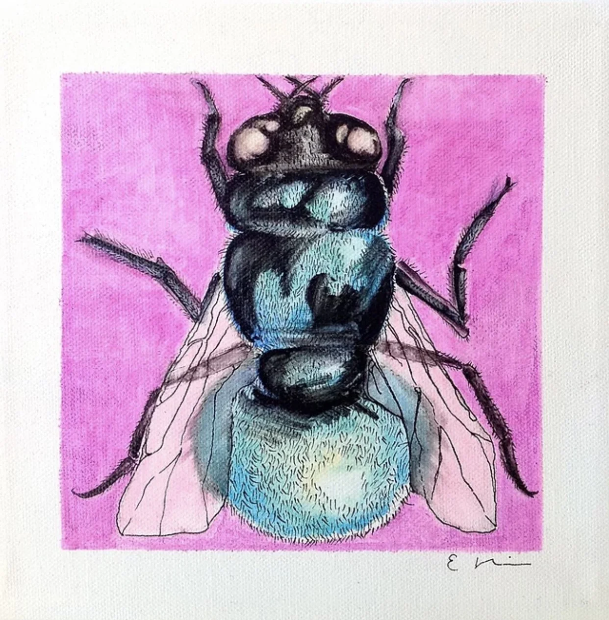 Erin Miller “Unknown”