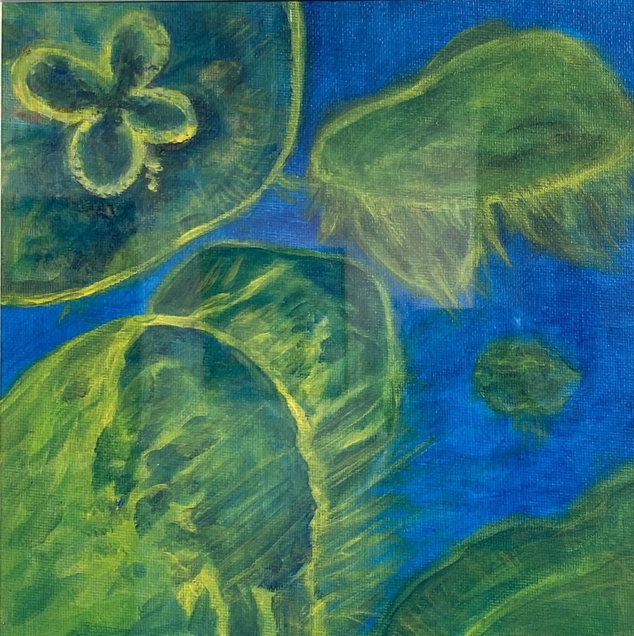 Kim Schneider “Just Jelly”