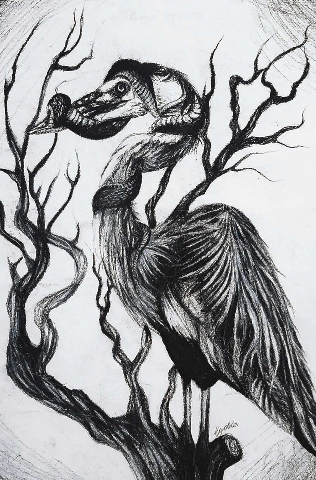 Lydia Strom-DuBord “Ibis”