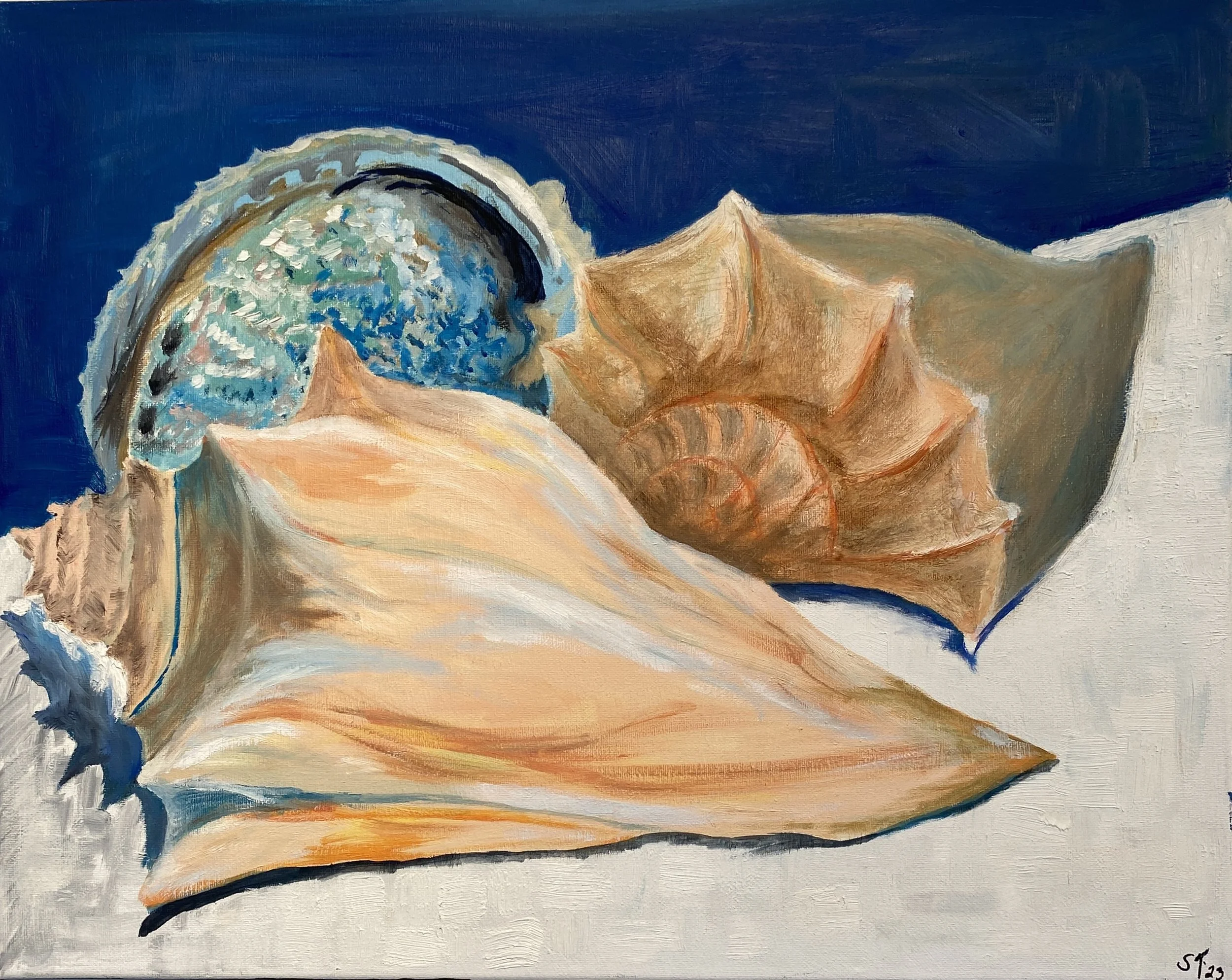 Sue D. Tipton “SeaShells”