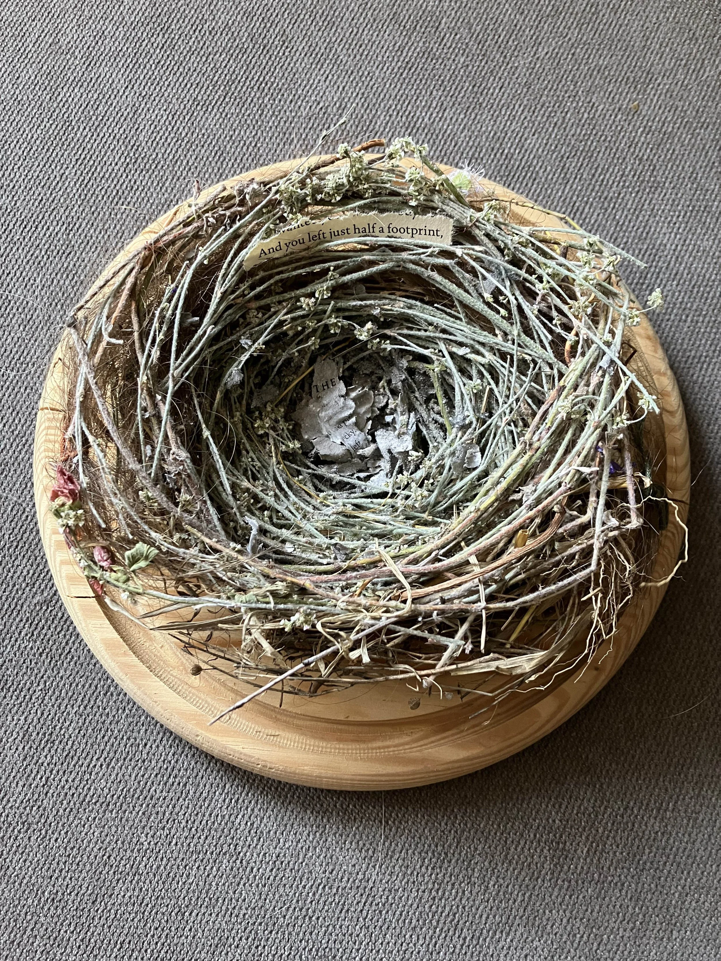 Brandelyn Andres "For Holly"