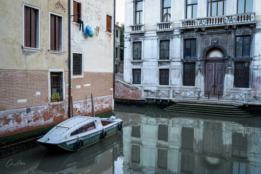 Cy Adams “Morning Stillness”