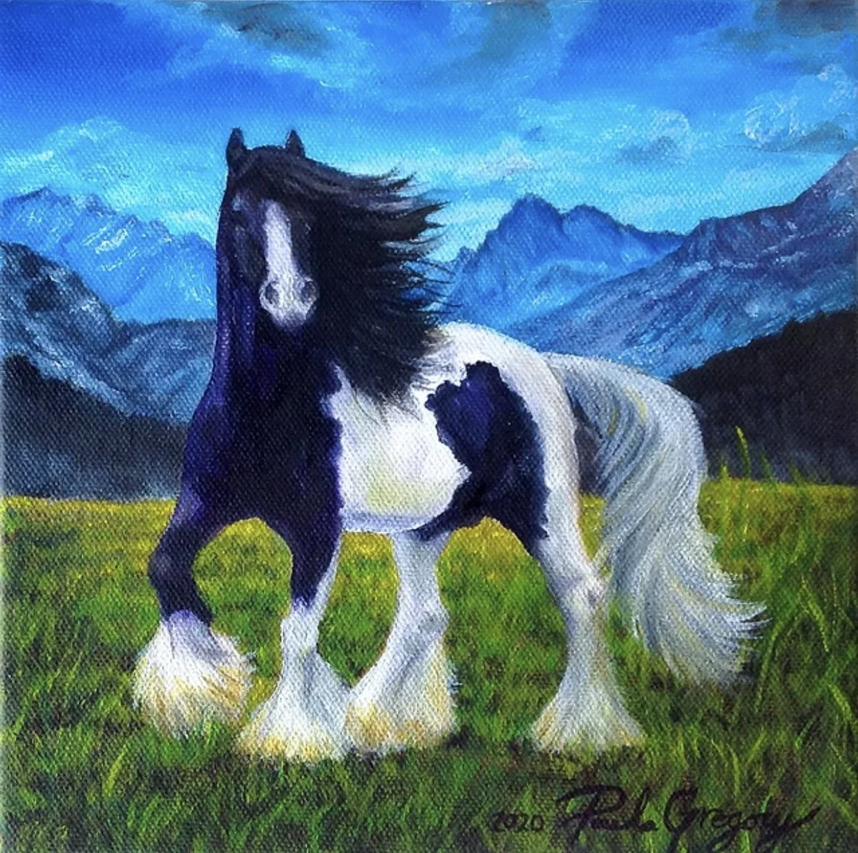 Paula Gregory “Gypsy Vanner Happy Dance”