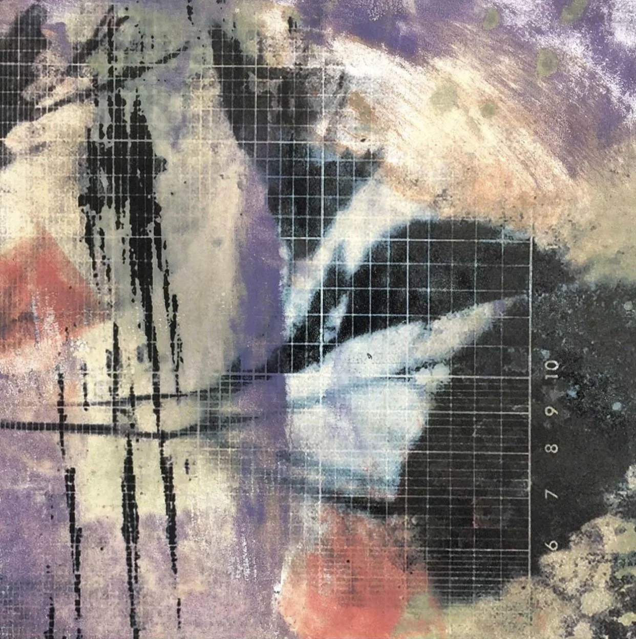 Leslie Parsons "Plants on a Scale of 1-10"