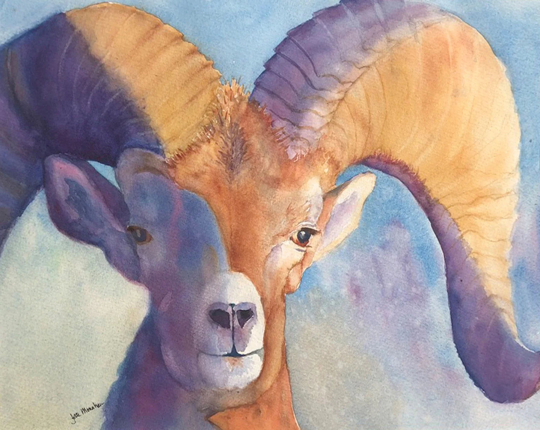 Jette Monahan “Bighorn Sheep”