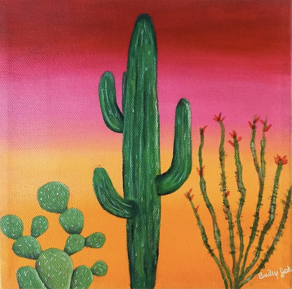 Bailey Johnson “Cactus”