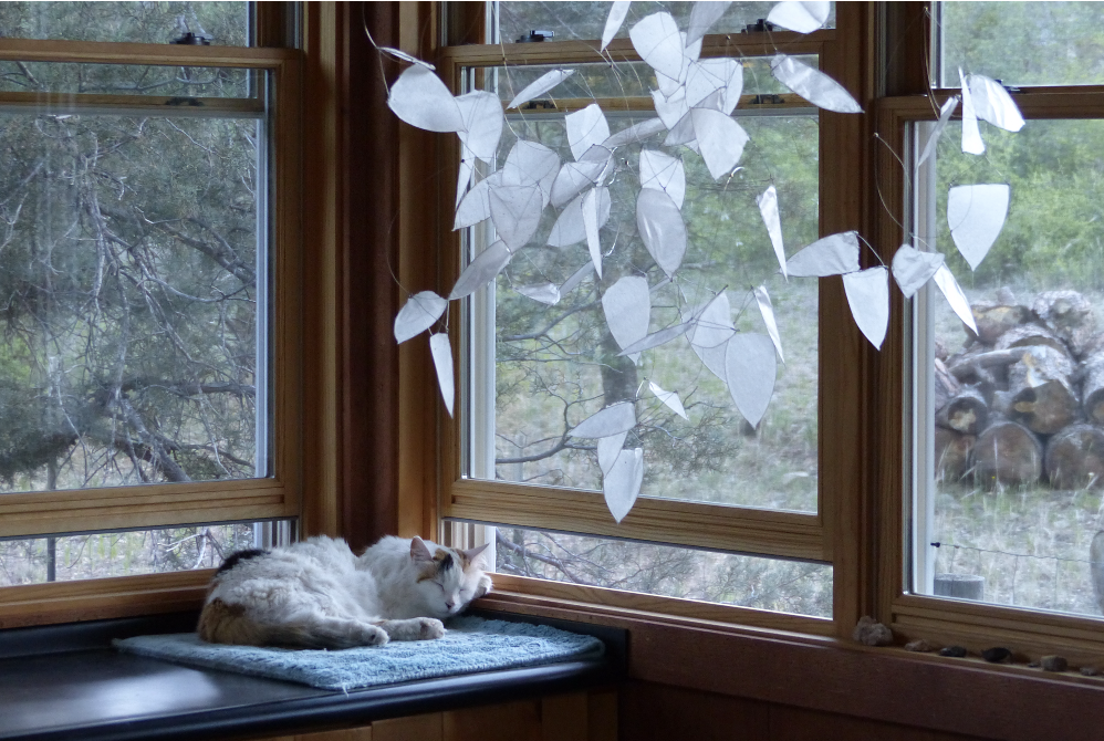 Diane Gilbert "Seed/Breath"