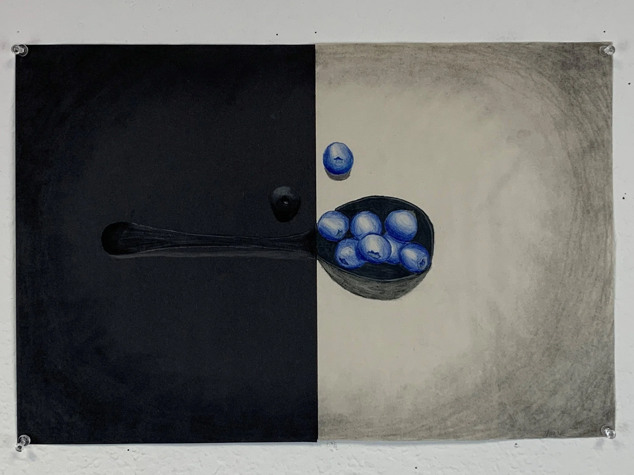 Ava Lee ‘Blueberries”, Bradshaw Mountain High School