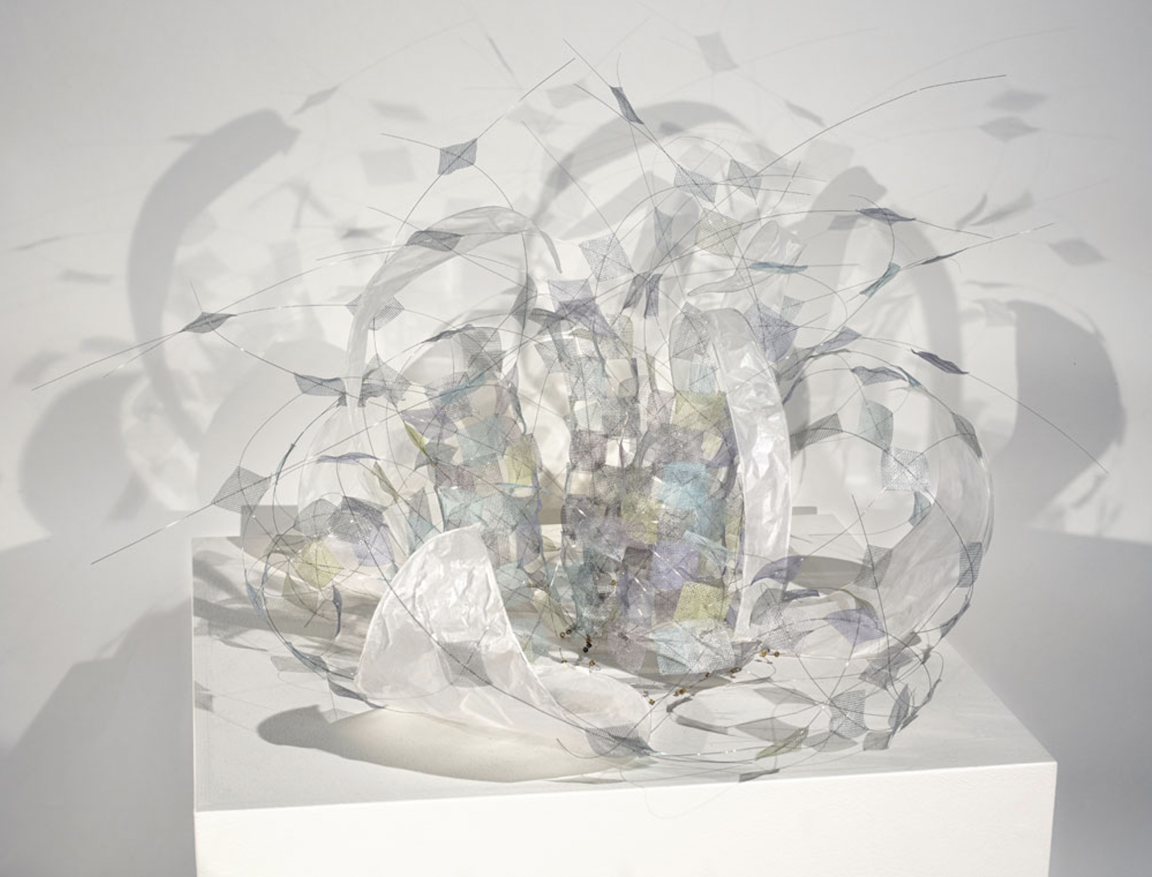 Diane Gilbert "Flowering"