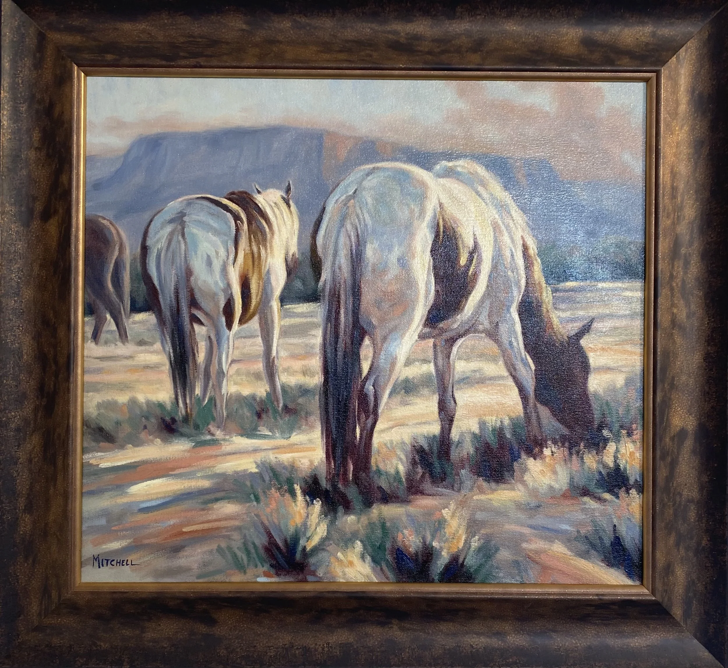 Margo Mitchell “Mesa View”