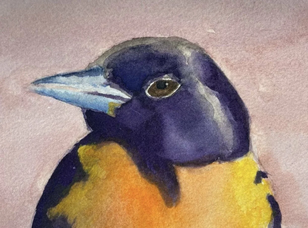 Lanie Collims “Bird with Grapefruit” (Detail)