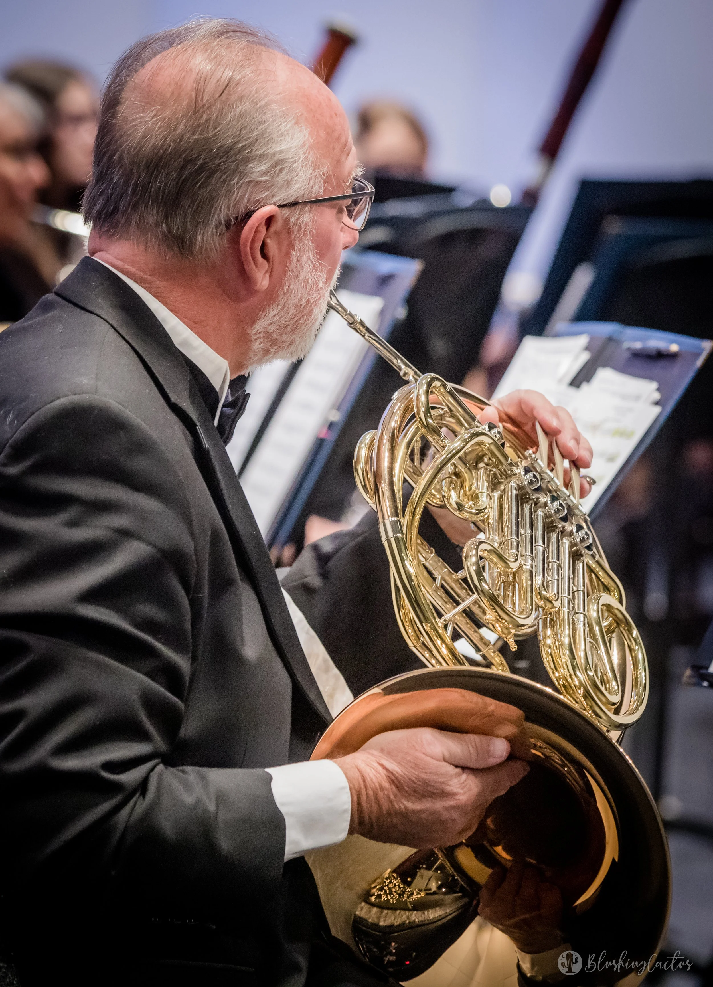 An older man with glasses and a white beard playing a French horn during a classical orchestra performance.