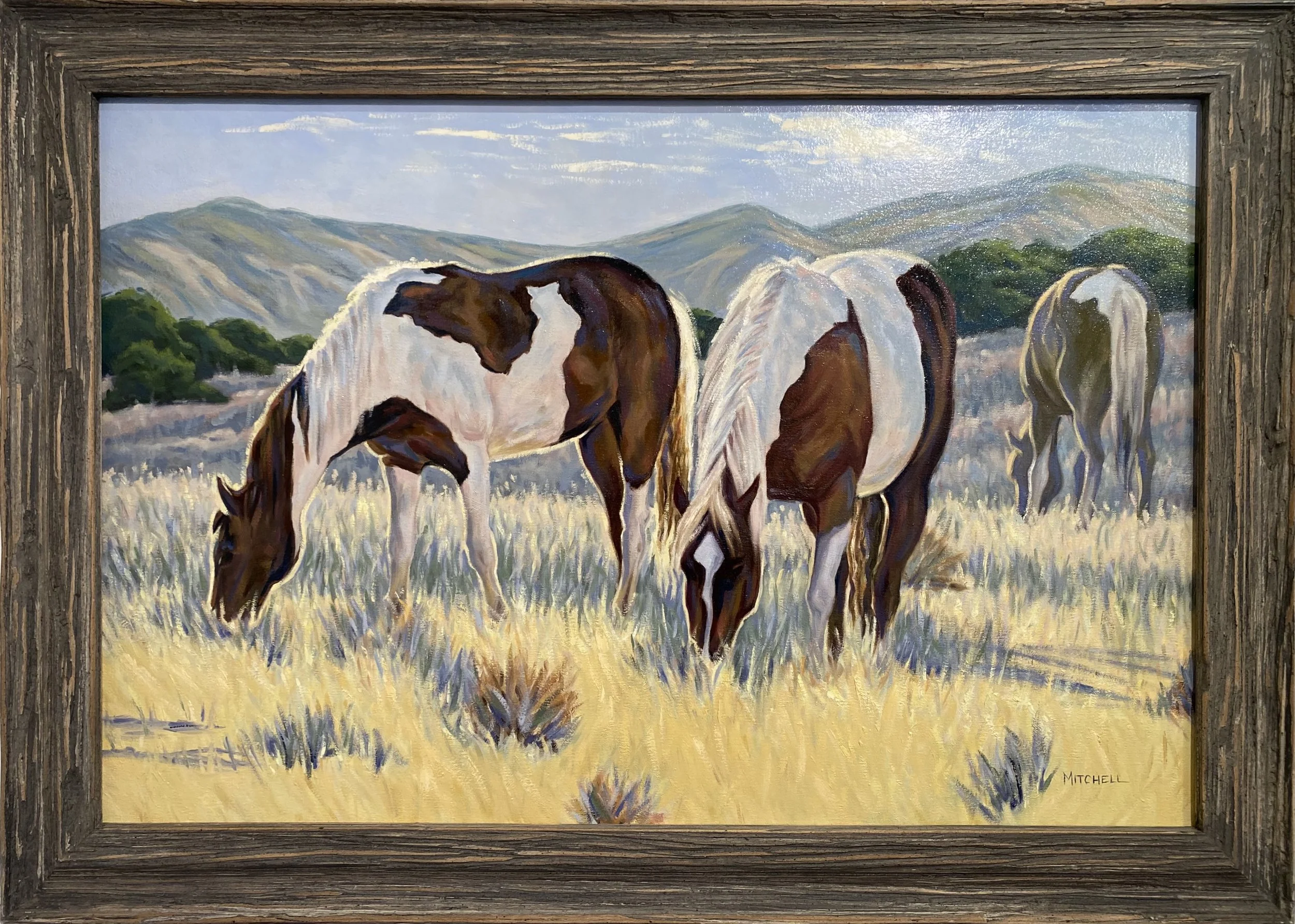 Margo Mitchell “Peaceful Graze”