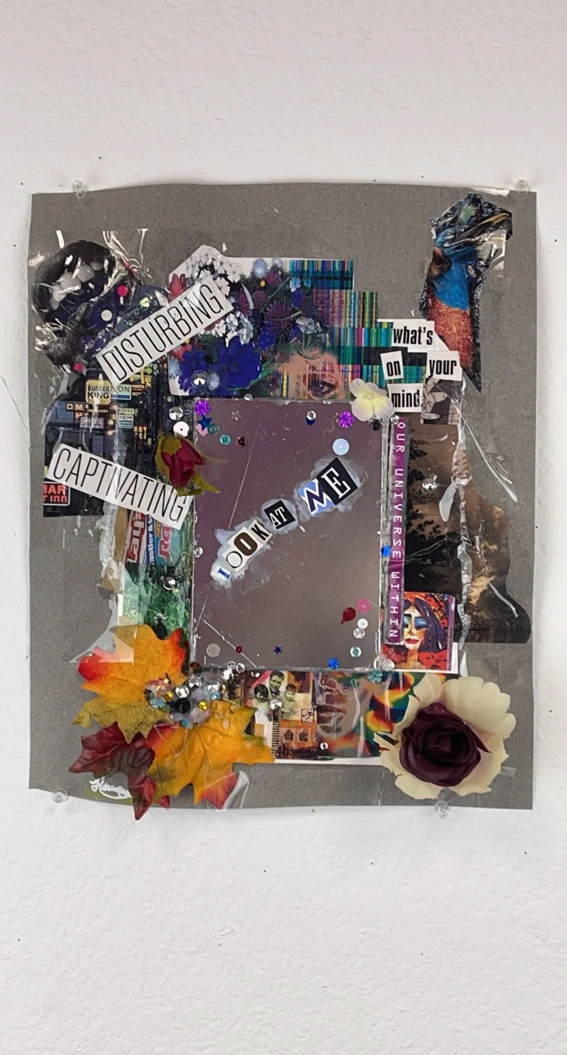 Llewellyn Holleman “What Should You Look At???”, Bradshaw Mountain High School