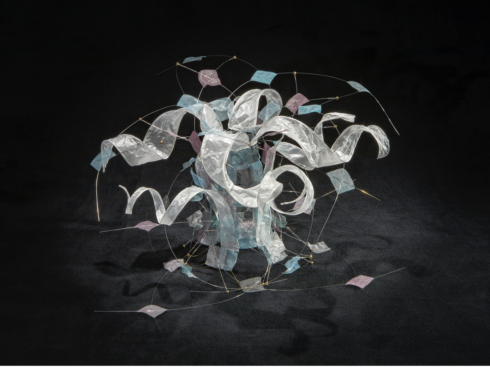 Diane Gilbert "Cloud Forest"